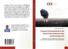 Yohannes Eneyew Ayalew - Clause d'encadrement du droit international des investissements