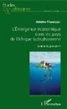 Antoine N'Gakosso - L'Emergence économique dans les pays de l'Afrique Subsaharienne