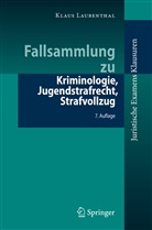Klaus Laubenthal - Fallsammlung zu Kriminologie, Jugendstrafrecht, Strafvollzug