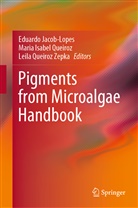 Mari Isabel Queiroz, Maria Isabel Queiroz, Eduardo Jacob-Lopes, Maria Isabel Queiroz, Leila Queiroz Zepka, Leila Queiroz Zepka - Pigments from Microalgae Handbook