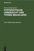 Hermann Burmeister - Hermann Burmeister: Systematische Uebersicht der Thiere Brasiliens - Teil 3: Vögel (Aves), Hälfte 2