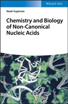 Naoki Sugimoto - Chemistry and Biology of Non-canonical Nucleic Acids