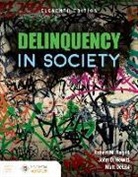 Matt DeLisi, John D Hewitt, John D. Hewitt, Robert M Regoli, Robert M. Regoli, Robert M. Hewitt Regoli - Delinquency in Society