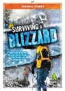 Vicki Hayes, Vicki C Hayes, Vicki C. Hayes - Surviving a Blizzard