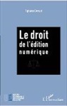 Tiphaine Duvillié - Le droit de l'édition numérique