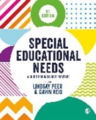 Lindsay Reid Peer, Lindsay Peer, Peer Lindsay, Gavin Reid, Reid Gavin - Special Educational Needs