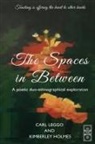 Kimberley Holmes, Carl Leggo - The Spaces in Between