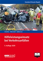 Ulric Cimolino, Ulrich Cimolino, Jörg Heck, Marti Oberstrass, Martin Oberstraß, Jan Südmersen - Standard-Einsatz-Regeln: Hilfeleistungseinsatz bei Verkehrsunfällen, m. 1 Buch, m. 1 Online-Zugang