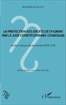 Marcel Wetsh'Okonda Koso - La protection des droits de l'homme par le juge constitutionnel congolais
