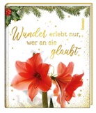 Dominiqu Kreichgauer, Dominique Kreichgauer - Wunder erlebt nur, wer an sie glaubt