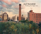 Joel Sternfeld - Walking the High Line