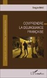 DRAGAN BRKIC - Comprendre la délinquance française