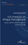 Aubin N'Semy Mabanza - Les marques en Afrique francophone
