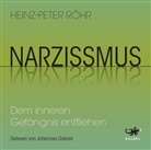 Heinz-Peter Röhr, Johannes Gabriel - Narzissmus, Audio-CD, MP3 (Hörbuch)