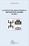 Abraham Bengaly - La protection juridictionnelle des droits de l'homme au Mali