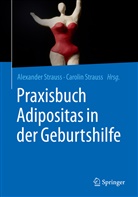 Strauss, Strauss, Alexande Strauss, Alexander Strauss, Carolin Strauss - Praxisbuch Adipositas in der Geburtshilfe