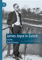 Andreas Fischer - James Joyce in Zurich