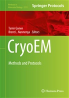 Tami Gonen, Tamir Gonen, L Nannenga, L Nannenga, Nannenga, Brent Nannenga... - cryoEM