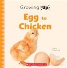 Leslie Kimmelman, Scholastic, Jodie Shepherd - Egg to Chicken (Growing Up)