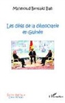 Mahmoud Bah - Les défis de la démocratie en Guinée