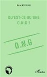 Bruno Ehui Koffi - Qu'est-ce qu'une O.N.G. ?