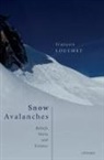Louchet, Francois Louchet, Francois (Professor of Condensed Matter P Louchet, Francois (Professor of Condensed Matter Physics Louchet - Snow Avalanches