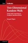 Serguei Popov, Serguei (Universidade Do Porto) Popov, Popov Serguei, Popov Serguei Popov - Two-Dimensional Random Walk