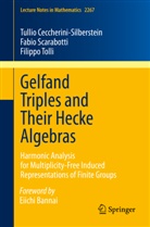 Tulli Ceccherini-Silberstein, Tullio Ceccherini-Silberstein, Fabi Scarabotti, Fabio Scarabotti, T, Filippo Tolli - Gelfand Triples and Their Hecke Algebras