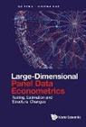 Chihwa Kao, Chihwa Kao, Feng Qu, Qu Feng, Qu Feng &amp; Chihwa Kao - Large-dimensional Panel Data Econometrics: Testing, Estimation And Structural Changes