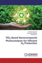 Praveen Kuma D, Praveen Kumar D, Praveen Kumar D., Shankar M V, Shankar M. V., Shankar M.V.... - TiO2 Based Nanocomposite Photocatalysts for Efficient H2 Production