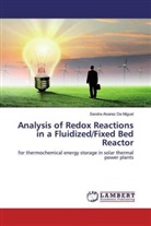 Sandra Alvarez De Miguel - Analysis of Redox Reactions in a Fluidized/Fixed Bed Reactor