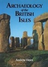 Andrew Hayes, Andrew R M Hayes, Andrew R M Hayes Hayes, Mr Andrew R M Hayes, Hayes Andrew - Archaeology of the British Isles