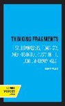Jane Flax, Flax Jane - Thinking Fragments