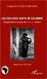 Cyriaque Simon-Pierre Akomo-Zoghe - Les esclaves Bantu de Colombie