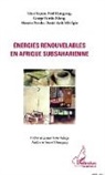 Daniel Ayuk Mbi Egbe, Noë Djongyang, Noël Djongyang, George Elambo Nkeng, Césa Kapseu, César Kapseu... - Energies renouvelables en Afrique subsaharienne