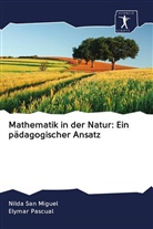 Elymar Pascual, Nild San Miguel, Nilda San Miguel - Mathematik in der Natur: Ein pädagogischer Ansatz