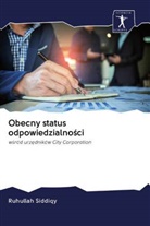 Ruhullah Siddiqy - Obecny status odpowiedzialnosci