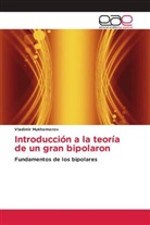 Vladimir Mukhomorov - Introducción a la teoría de un gran bipolaron