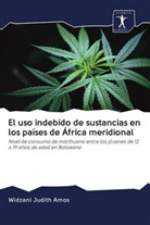 Widzani Judith Amos - El uso indebido de sustancias en los países de África meridional