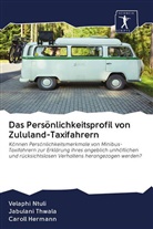 Caroll Hermann, Velaph Ntuli, Velaphi Ntuli, Jabulan Thwala, Jabulani Thwala - Das Persönlichkeitsprofil von Zululand-Taxifahrern