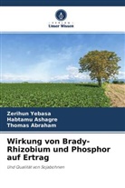 Thomas Abraham, Habtam Ashagre, Habtamu Ashagre, Zerihu Yebasa, Zerihun Yebasa - Wirkung von Brady-Rhizobium und Phosphor auf Ertrag