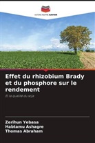 Thomas Abraham, Habtamu Ashagre, Zerihun Yebasa - Effet du rhizobium Brady et du phosphore sur le rendement