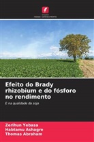 Thomas Abraham, Habtamu Ashagre, Zerihun Yebasa - Efeito do Brady rhizobium e do fósforo no rendimento