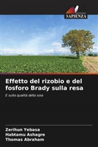 Thomas Abraham, Habtamu Ashagre, Zerihun Yebasa - Effetto del rizobio e del fosforo Brady sulla resa
