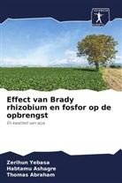Thomas Abraham, Habtamu Ashagre, Zerihun Yebasa - Effect van Brady rhizobium en fosfor op de opbrengst