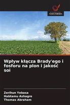 Thomas Abraham, Habtamu Ashagre, Zerihun Yebasa - Wplyw klacza Brady'ego i fosforu na plon i jakosc soi