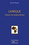 Armand Tenesso - L'Afrique dans un maelstrom
