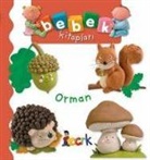 Emilie Beaumont, Nathalie Belineau - Orman - Bebek Kitaplari
