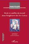 Claude Didry, Ariste Koukiadaki, Aristea Koukiadaki - Droit et conflits du travail dans l'Angleterre du <em>New Labour</em>