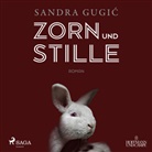 Sandra Gugic, Sandra Gugić, Charlotte Puder - Zorn und Stille, 1 Audio-CD, MP3 (Hörbuch)